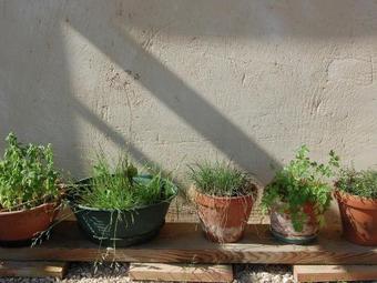 Villa Pretty Farmhouse With Private Pool In Montadet France