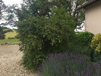 Charming Holiday Home In Monfort With Private Swimming Pool