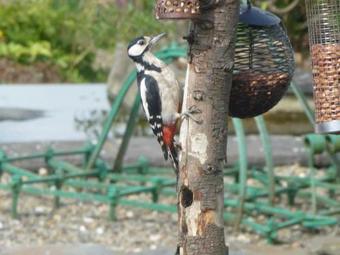 Ael Y Bryn Luxury B&b, North Pembrokeshire