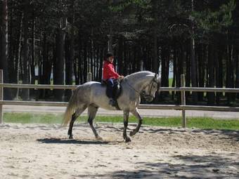Aparthotel Oca Nova Manzaneda