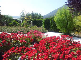 Hotel Amalurra Granada