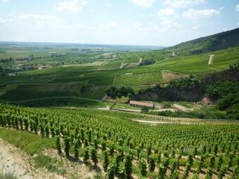 Hotel Toldi Fogad�