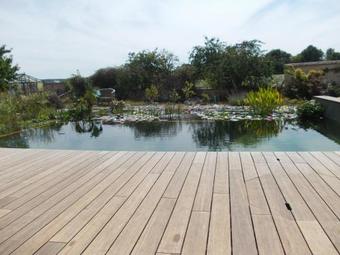 Hostal Maison D'h�tes Les Rainettes