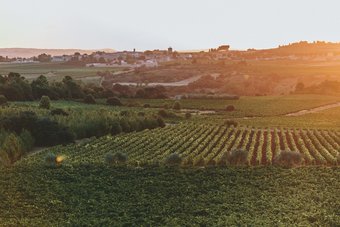 Bed & Breakfast Chateau de Paraza