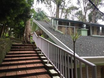 Hotel Single Tree Resort