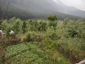 Hotel Himalaya Discover Resort Pahalgam Kashmir