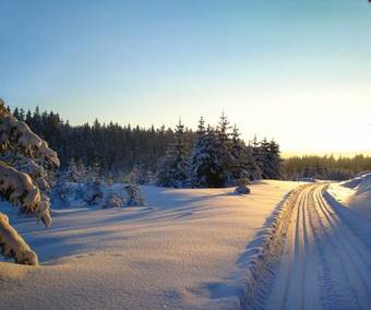 Hostal Landgasthof Am Sonnenhang