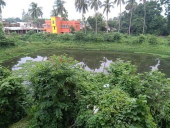 Hostal Shree Hari Guest House