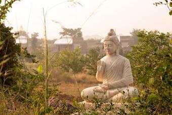 Hotel Utsav Camp Sariska