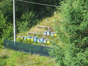 Agroturismo Agriturismo Basti�