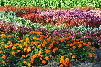 Hotel Shibetsu Inn Suigetsu