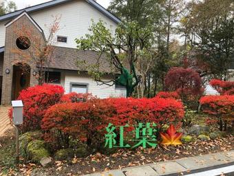 Hostal Star Resort Spica