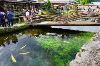 Hostal ??(haleluya) Guest House