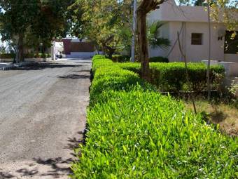 Nefertari Hotel Abu Simble