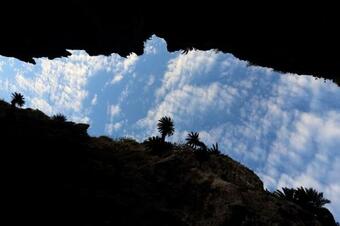 Tabinoteitaku Okinawa Bise Homann Concept