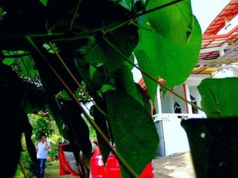 Hotel Devinuwara Cs Guest Inn