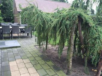 Bed & Breakfast Vakantieboerderij De Pionier