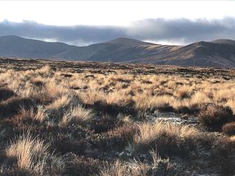 Motel Waiouru Welcome Inn