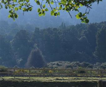 Motel Tongariro Springs Boutique Suites