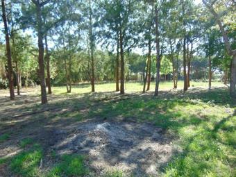 Agroturismo O Monte Das Flores