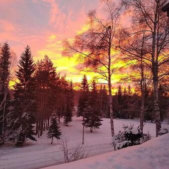 Apartments Vlasinski Vrtovi On Vlasinsko Lake