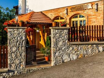 Hostal Guest House Vila Djokic