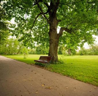 Hotel Velich Country Club