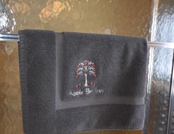 Bed & Breakfast Apple Bin Inn