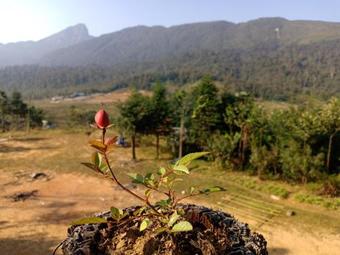 Bed & Breakfast Discover Y Ty Homestay