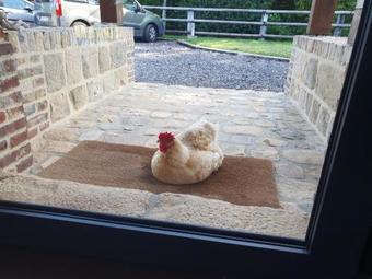 Bed & Breakfast Domaine De Janville