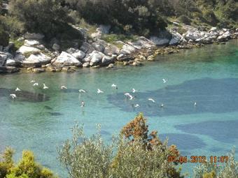 Apartamento Argo - Mythos