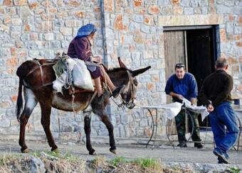 Apartamento Mala Villa