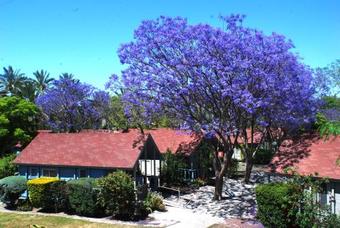 Nir David Country Lodge