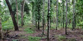 Hotel Sugamya Farm Guesthouse