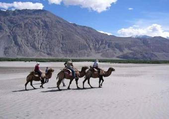 Hotel Stendel - Nubra