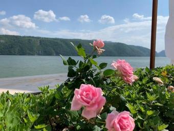 Hostal Riviera 990 - Resort & Restaurant