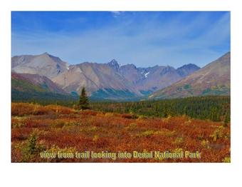 Bed & Breakfast The Runway House