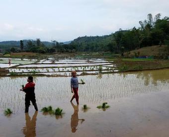 Lodge Mai Chau Palm House