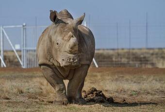 Agroturismo Thanda Tau