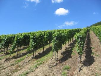 Hotel Feriendomizil Am Lindenplatz