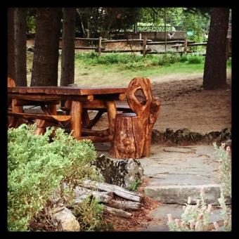 Hostal Trout Lodge
