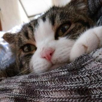 Bed & Breakfast Minshuku Iburi Bar