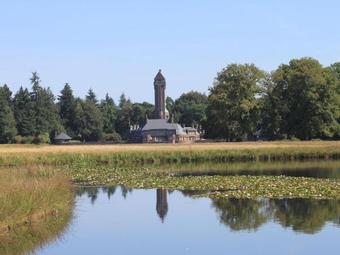 Luxury Bungalow In Bennekom With Terrace
