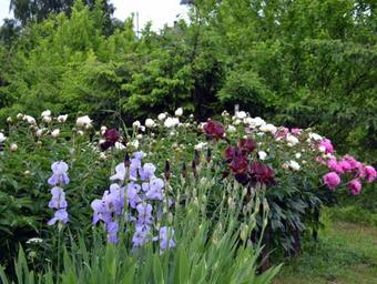 Hostal Guest House Sebezh