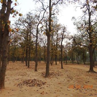 Chottoneer Homestay