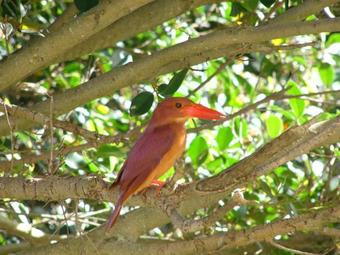 Amami Sunplaza Hotel