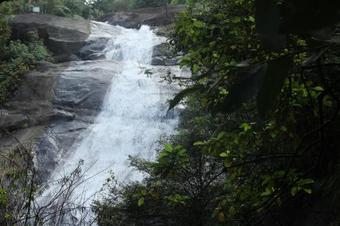 Villa Honeyrock Resorts