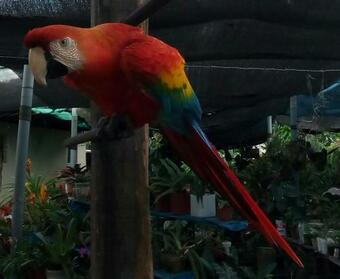 Bed & Breakfast Lucas Hotel