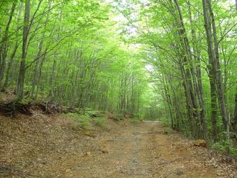 Hotel Sofra E Shpatit