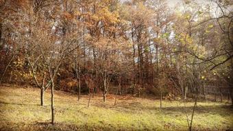 Vip Villa ???? ?? ?? ??